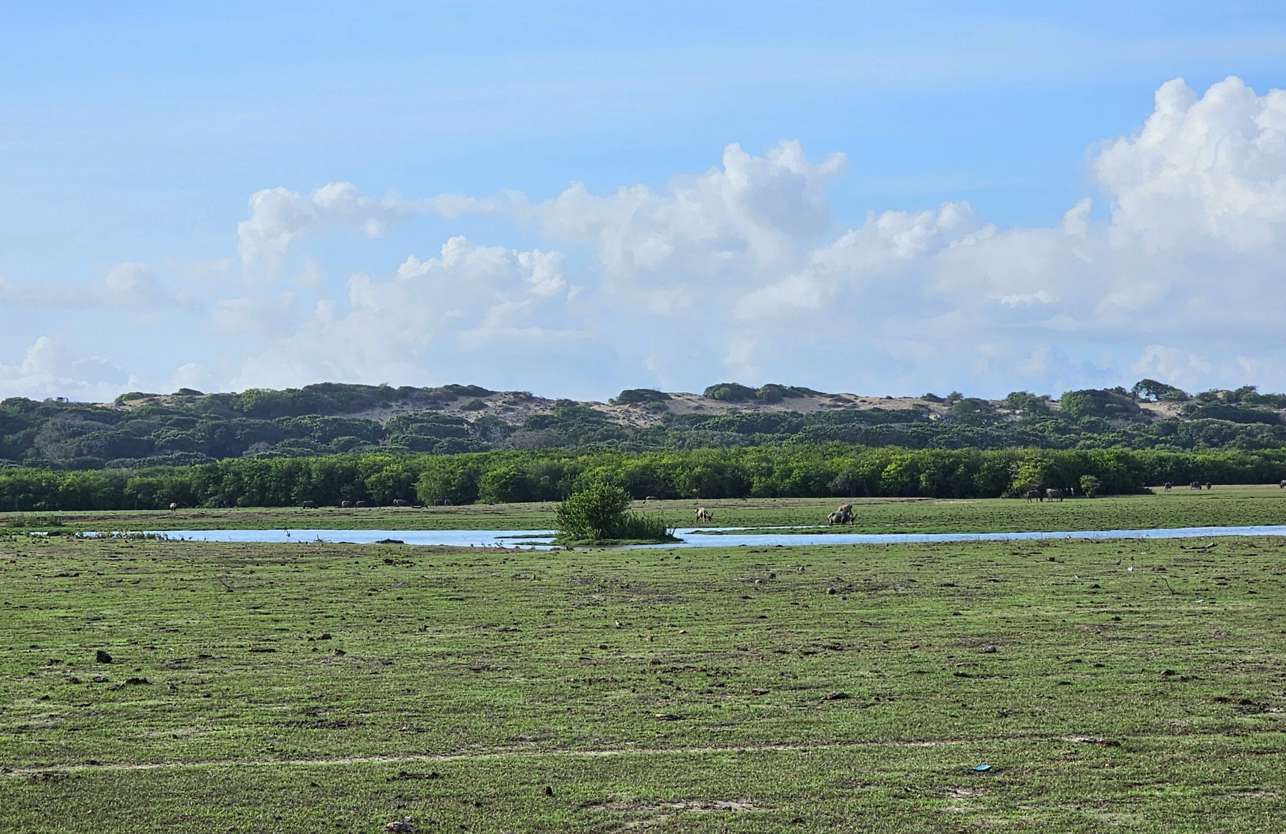 Understanding Yala National Park by season wildlife view
