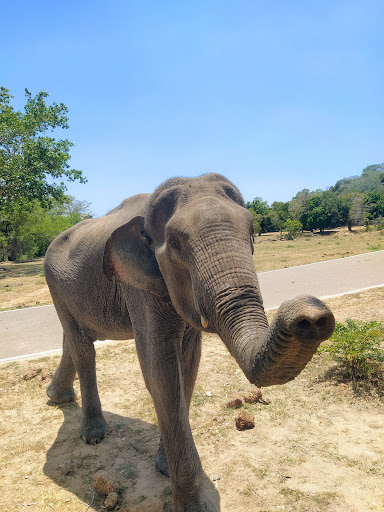 Photo from customer review