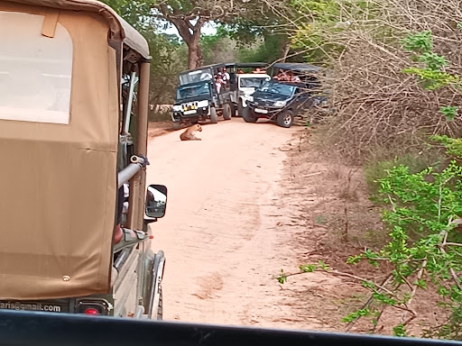 Photo from customer review