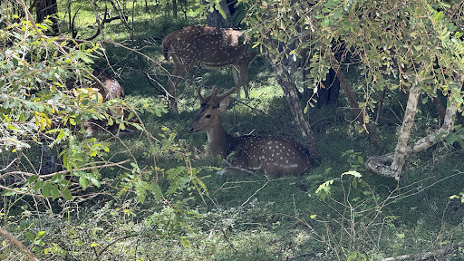 Photo from customer review