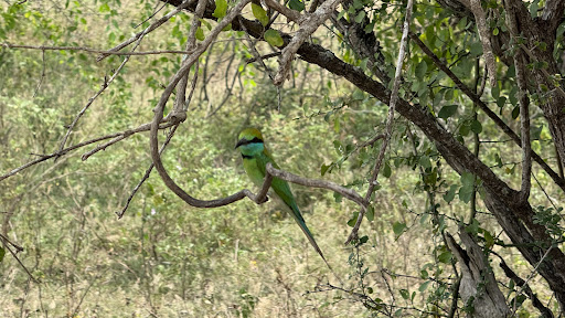 Photo from customer review