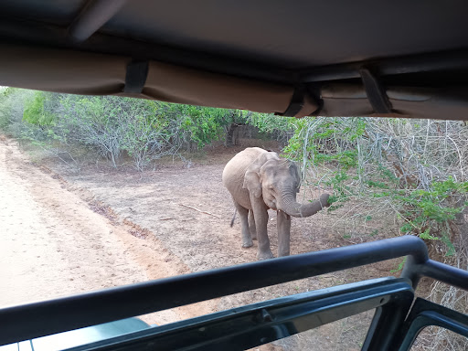 Photo from customer review