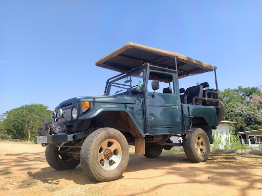 Photo from customer review