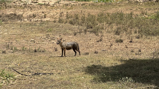 Photo from customer review