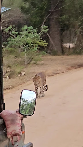 Photo from customer review