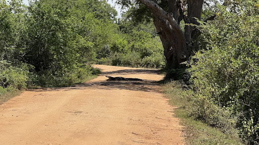 Photo from customer review