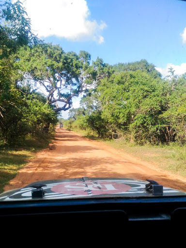 Photo from customer review